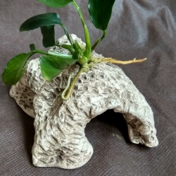 Akvárium